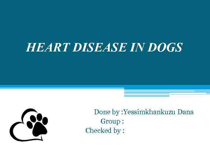 HEART DISEASE IN DOGS Done by : Yessimkhankuzu Dana Group : Checked by :