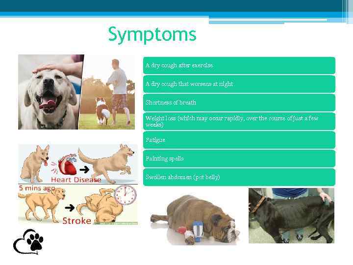 Symptoms A dry cough after exercise A dry cough that worsens at night Shortness