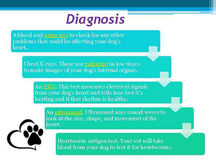Diagnosis A blood and urine test to check for any other problems that could