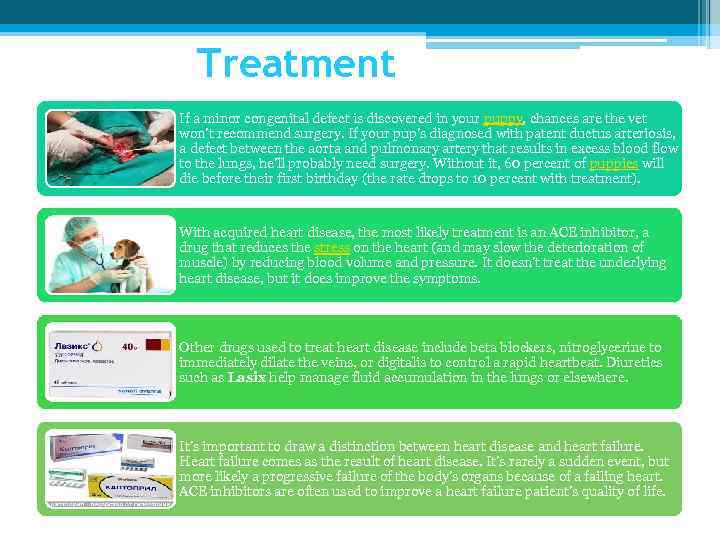 Treatment If a minor congenital defect is discovered in your puppy, chances are the