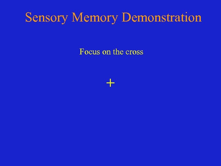 Sensory Memory Demonstration Focus on the cross + 