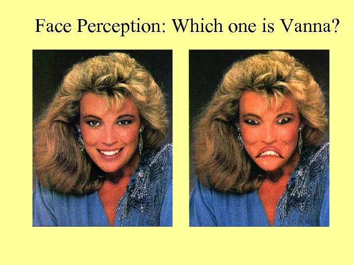 Face Perception: Which one is Vanna? 