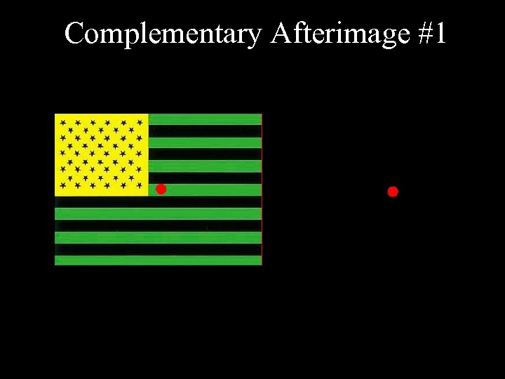 Complementary Afterimage #1 