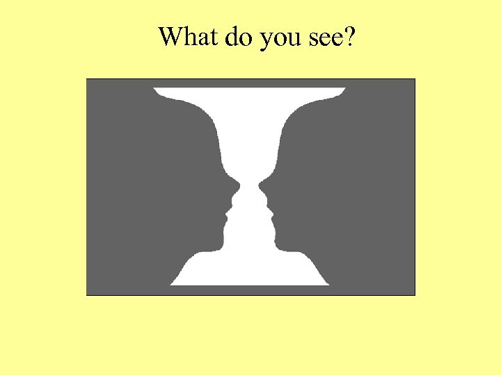 What do you see? 