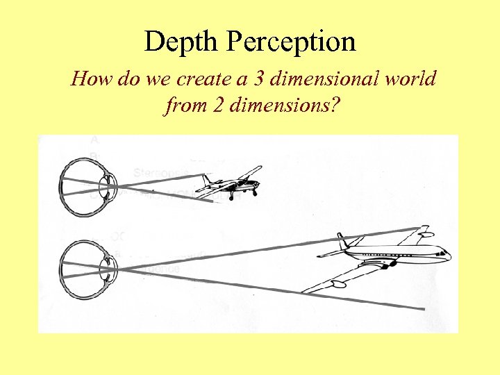 Depth Perception How do we create a 3 dimensional world from 2 dimensions? 