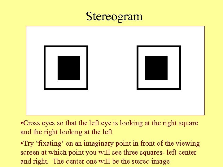 Stereogram • Cross eyes so that the left eye is looking at the right