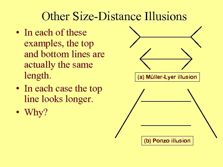 Other Size-Distance Illusions • In each of these examples, the top and bottom lines