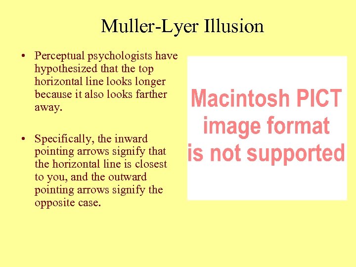 Muller-Lyer Illusion • Perceptual psychologists have hypothesized that the top horizontal line looks longer