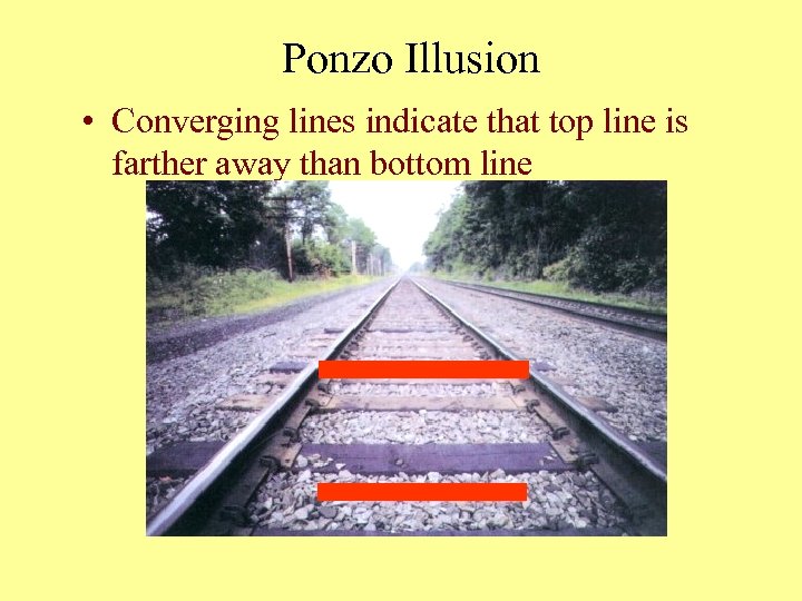 Ponzo Illusion • Converging lines indicate that top line is farther away than bottom