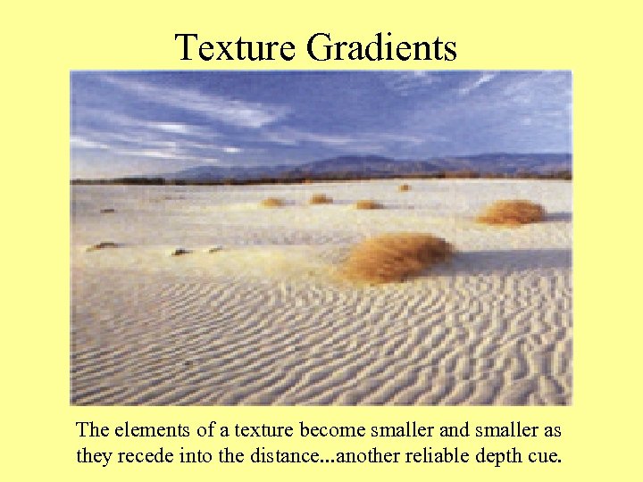 Texture Gradients The elements of a texture become smaller and smaller as they recede