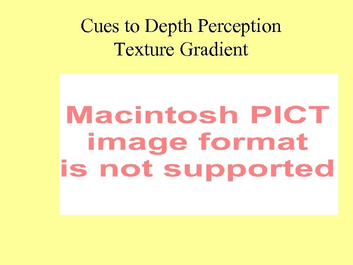 Cues to Depth Perception Texture Gradient 