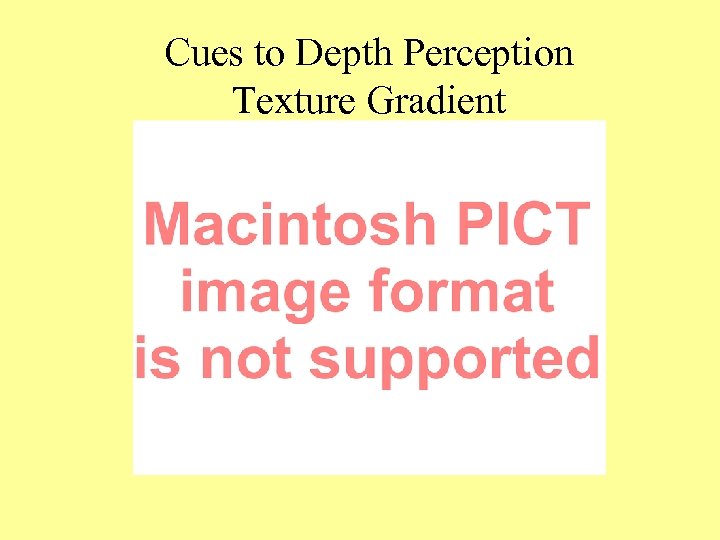 Cues to Depth Perception Texture Gradient 