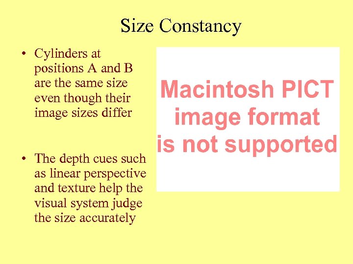 Size Constancy • Cylinders at positions A and B are the same size even