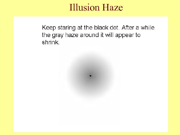 Illusion Haze 