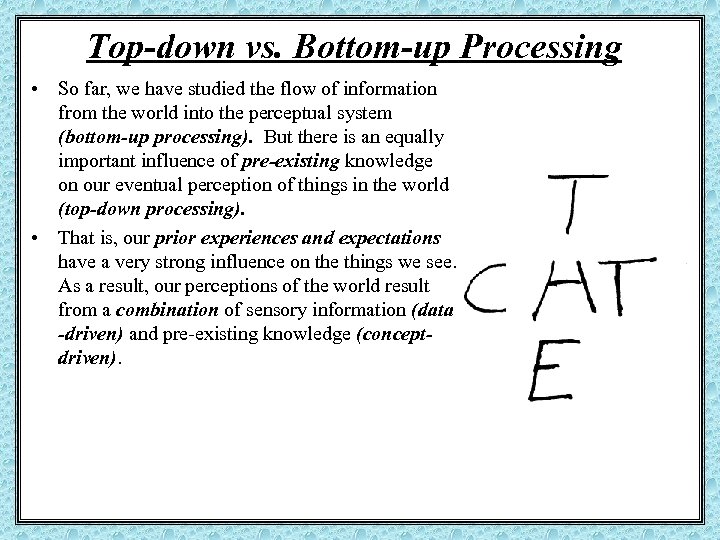 Top-down vs. Bottom-up Processing • So far, we have studied the flow of information