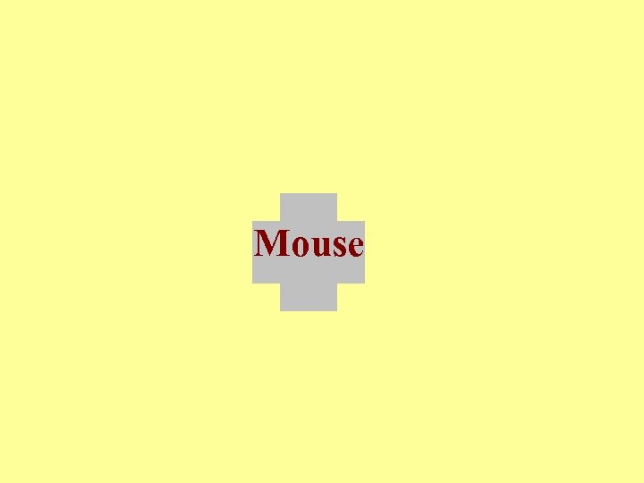 Mouse 