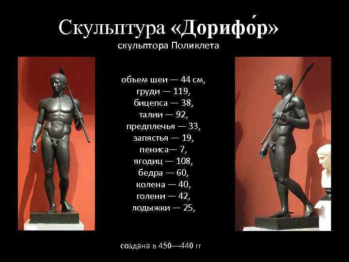 Скульптура «Дорифо р» скульптора Поликлета объем шеи — 44 см, груди — 119, бицепса