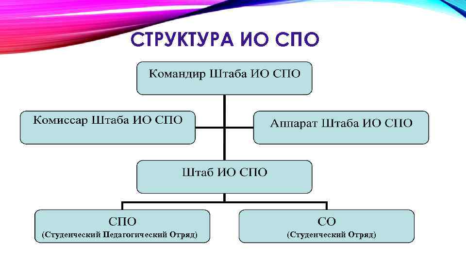 СТРУКТУРА ИО СПО (Студенческий Педагогический Отряд) (Студенческий Отряд) 