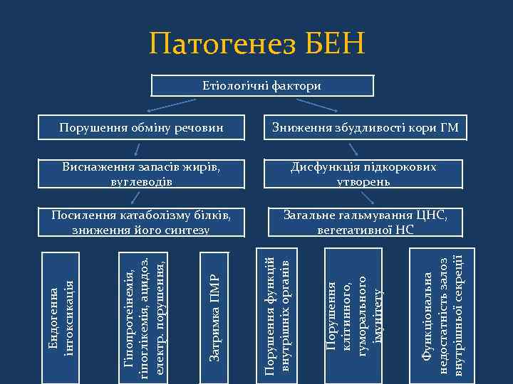 Патогенез БЕН Етіологічні фактори Функціональна недостатність залоз внутрішньої секреції Загальне гальмування ЦНС, вегетативної НС