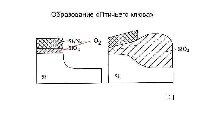 Образование «Птичьего клюва» o 2 [ 3 ] 