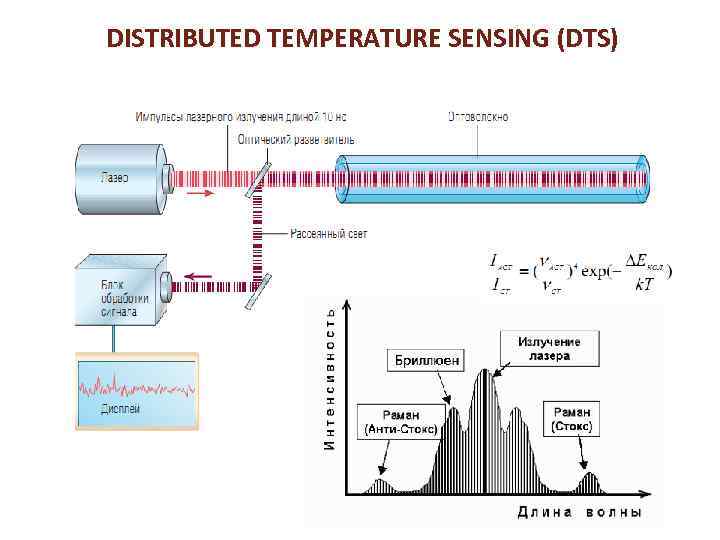 DISTRIBUTED TEMPERATURE SENSING (DTS) 