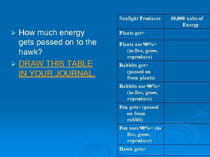 Sunlight Produces How much energy gets passed on to the hawk? Ø DRAW THIS