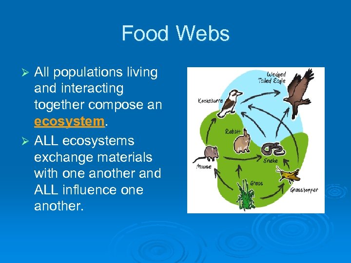 Food Webs All populations living and interacting together compose an ecosystem. Ø ALL ecosystems