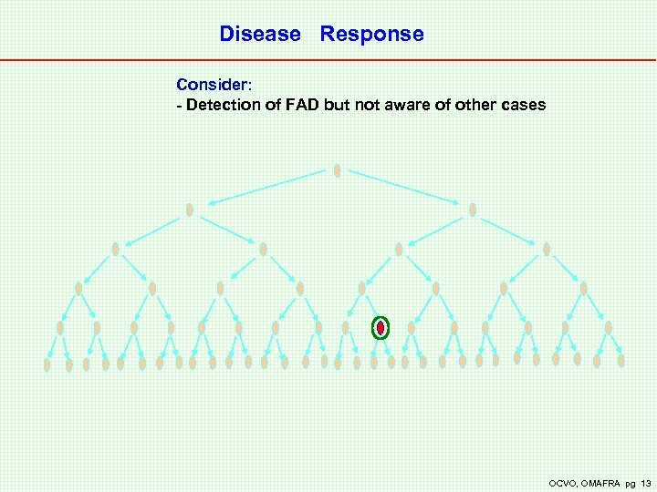 Disease Response Consider: - Detection of FAD but not aware of other cases OCVO,