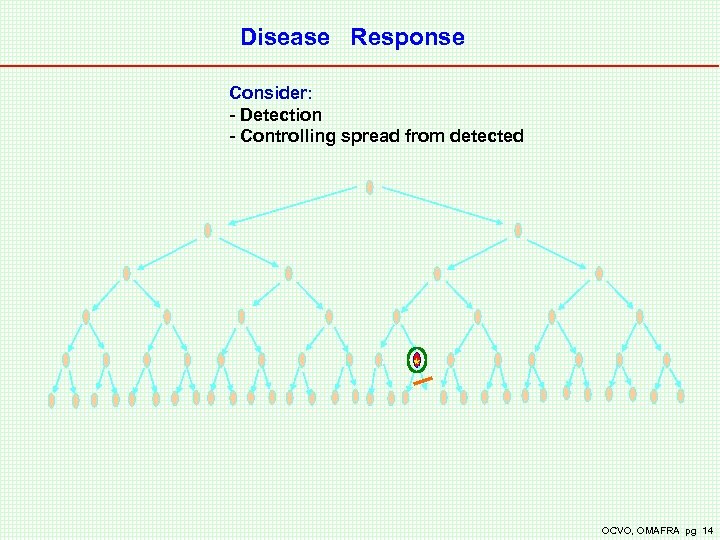 Disease Response Consider: - Detection - Controlling spread from detected * OCVO, OMAFRA pg