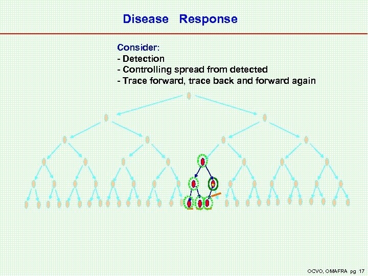 Disease Response Consider: - Detection - Controlling spread from detected - Trace forward, trace