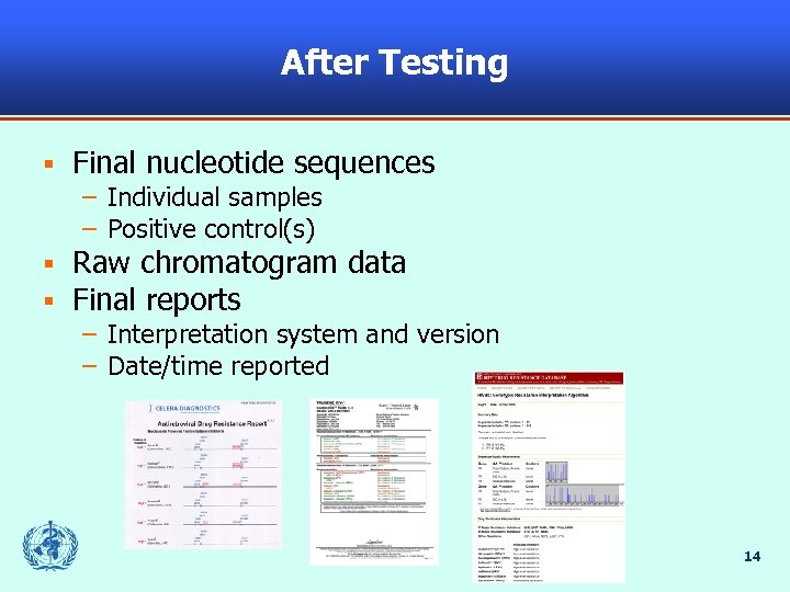 After Testing § Final nucleotide sequences – Individual samples – Positive control(s) § §