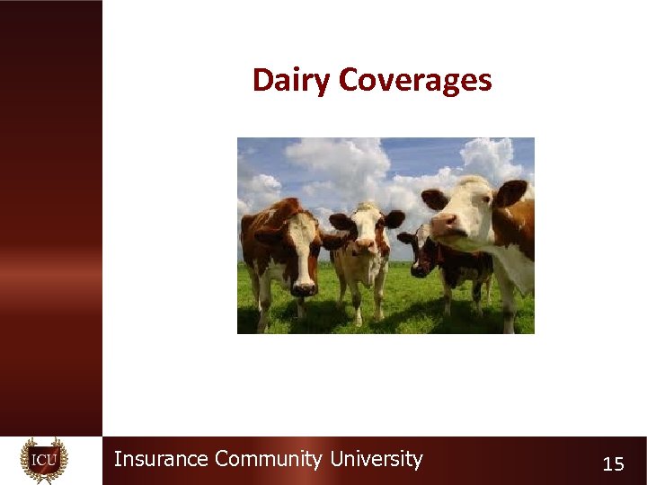 Dairy Coverages Insurance Community University 15 