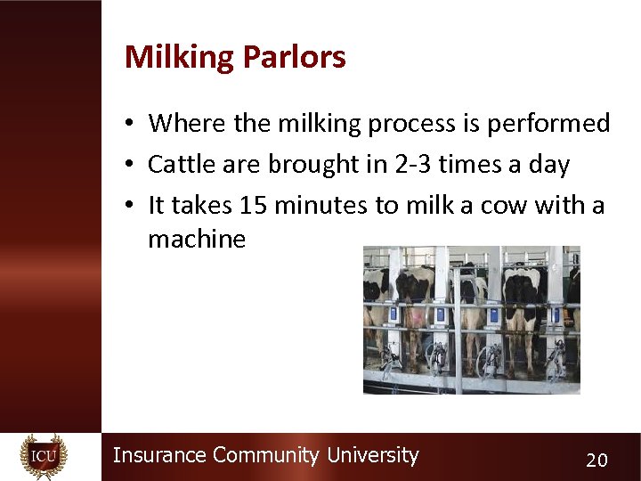Milking Parlors • Where the milking process is performed • Cattle are brought in