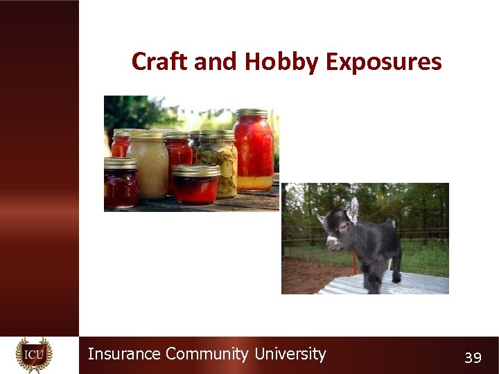 Craft and Hobby Exposures Insurance Community University 39 