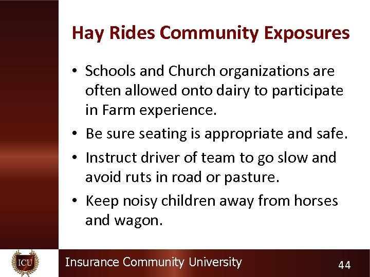 Hay Rides Community Exposures • Schools and Church organizations are often allowed onto dairy