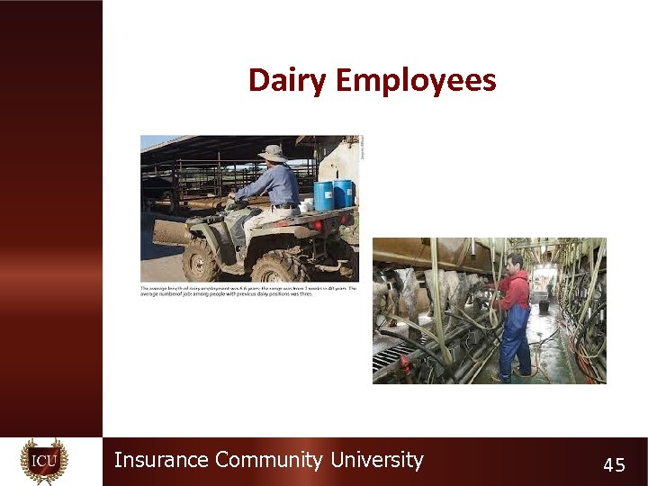 Dairy Employees Insurance Community University 45 