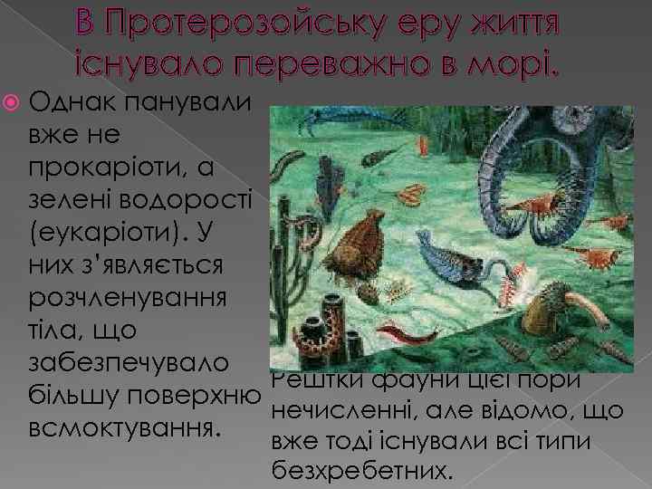 В Протерозойську еру життя існувало переважно в морі. Однак панували вже не прокаріоти, а