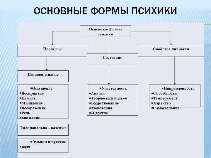 ОСНОВНЫЕ ФОРМЫ ПСИХИКИ 