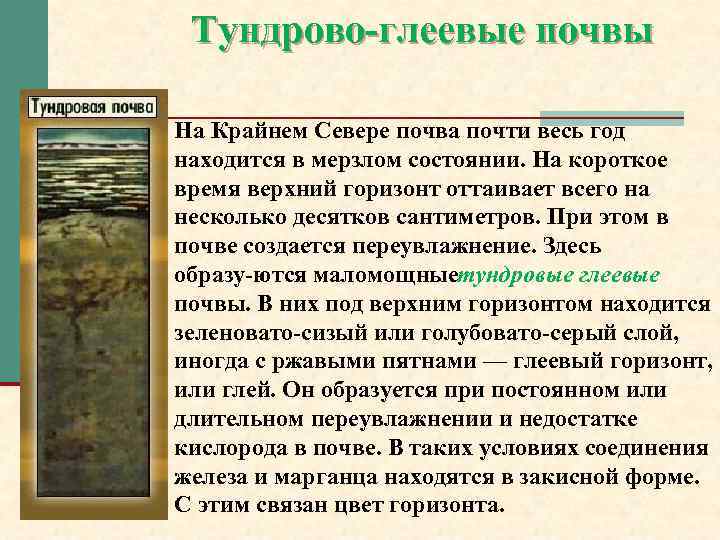 Тундрово глеевые почвы На Крайнем Севере почва почти весь год находится в мерзлом состоянии.