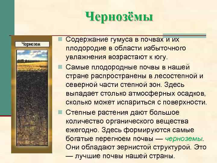 Чернозем где встречается. Содержание гумуса в черноземных почвах в России. Плодородие черноземных почв.