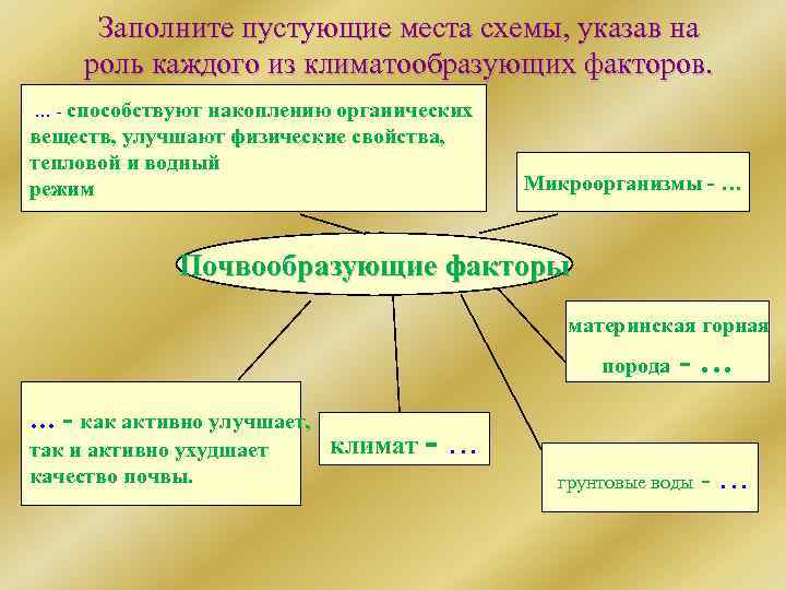 Заполните пустующие места схемы, указав на роль каждого из климатообразующих факторов. … - способствуют