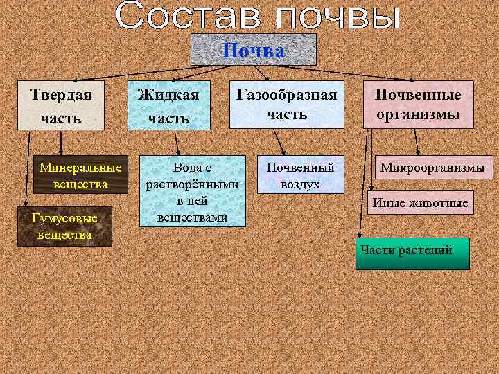 Почва Твердая часть Минеральные вещества Гумусовые вещества Жидкая часть Газообразная часть Вода с растворёнными