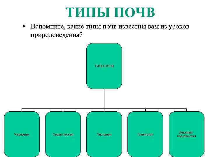 ТИПЫ ПОЧВ • Вспомните, какие типы почв известны вам из уроков природоведения? ТИПЫ ПОЧВ