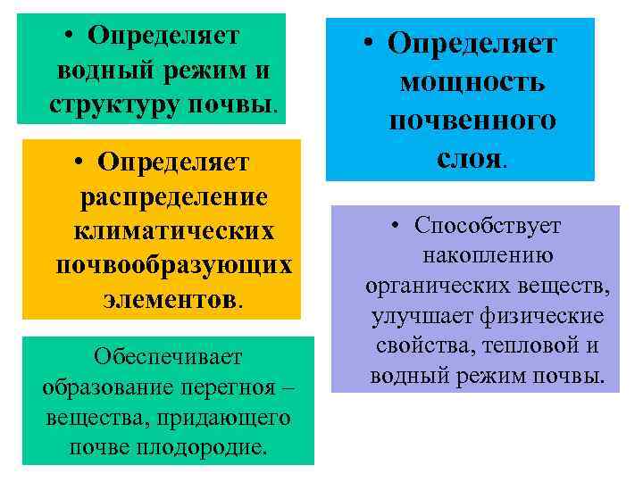  • Определяет водный режим и структуру почвы. • Определяет распределение климатических почвообразующих элементов.
