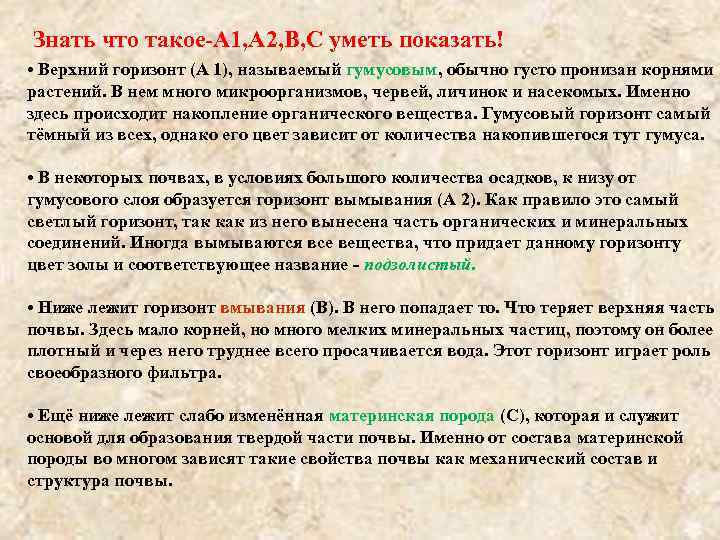 Знать что такое А 1, А 2, В, С уметь показать! • Верхний горизонт
