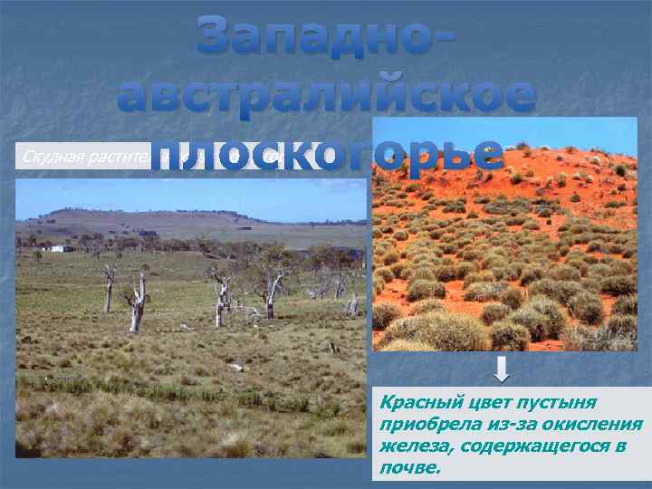 Западноавстралийское плоскогорье Скудная растительность плоскогорья. Красный цвет пустыня приобрела из-за окисления железа, содержащегося в