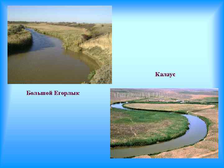 Калаус Большой Егорлык 