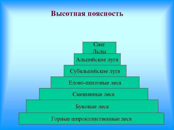 Высотная поясность Снег Льды Альпийские луга Субальпийские луга Елово-пихтовые леса Смешанные леса Буковые леса