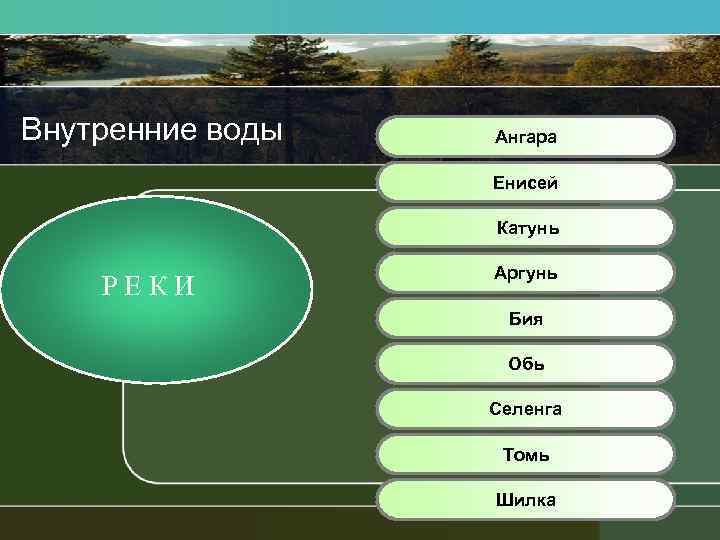 Внутренние воды Ангара Енисей Катунь РЕКИ Аргунь Бия Обь Селенга Томь Шилка 