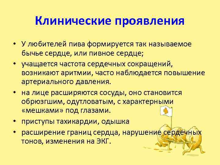 Клинические проявления • У любителей пива формируется так называемое бычье сердце, или пивное сердце;